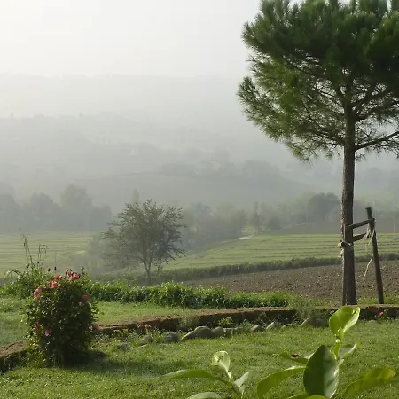 Casa Montale * Serra deʼ Conti